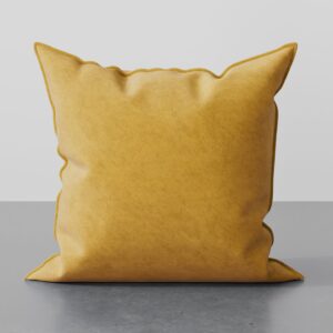 Cardi Tumeric Scatter Cushion